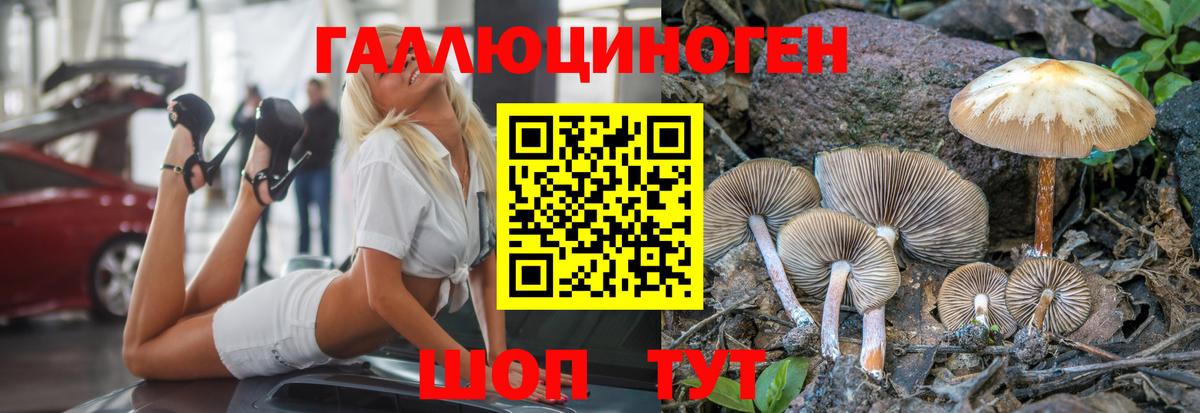 Галлюциногенные грибы Psilocybe Уварово